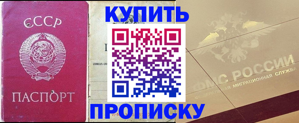 прописка для школы в Мончегорске